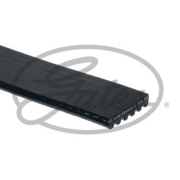 CD3 5 COURROIES D'ACCESSOIRE